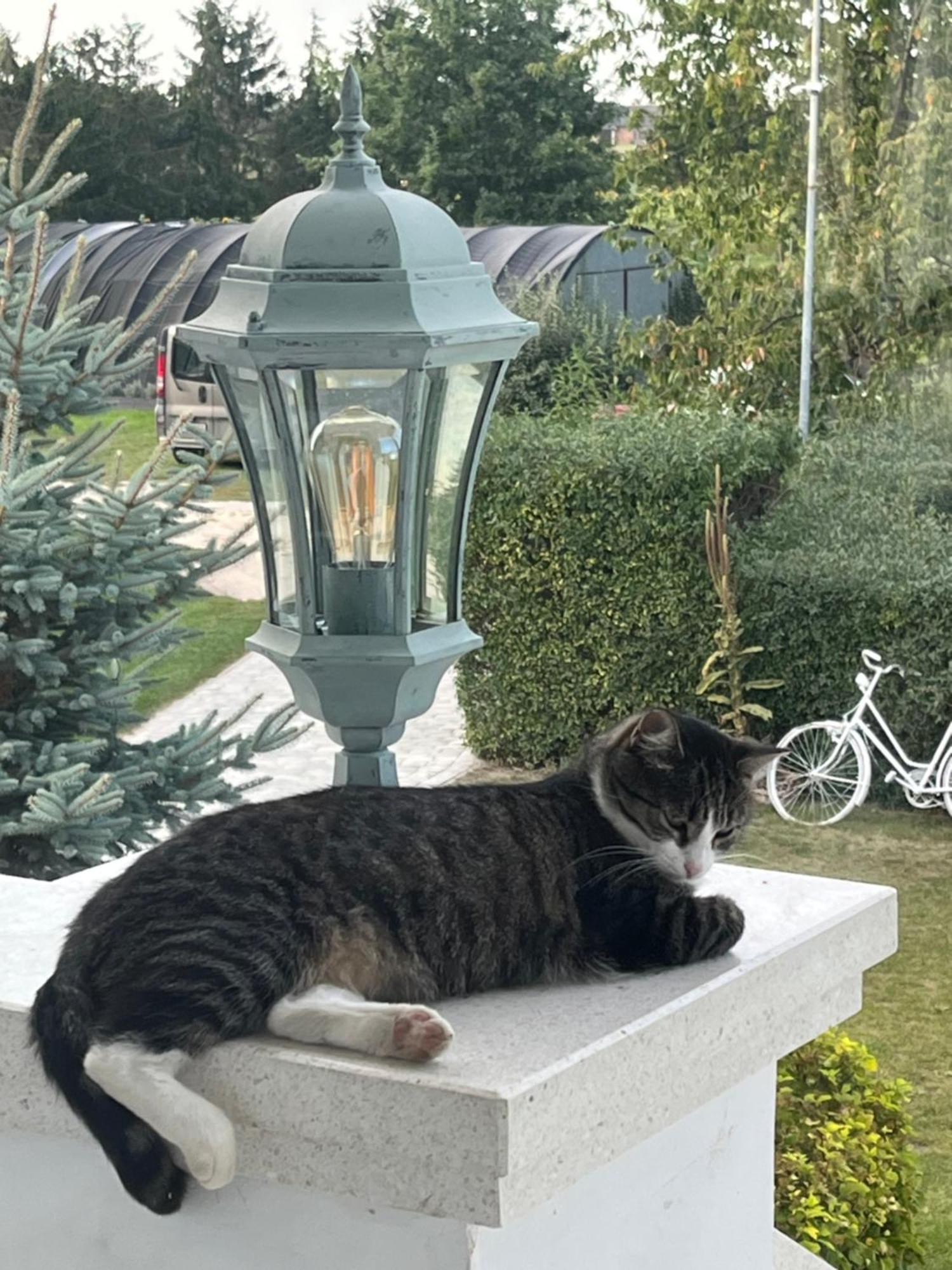 Zielone Zacisze Bed and Breakfast Murzynowo Kościelne Exteriör bild