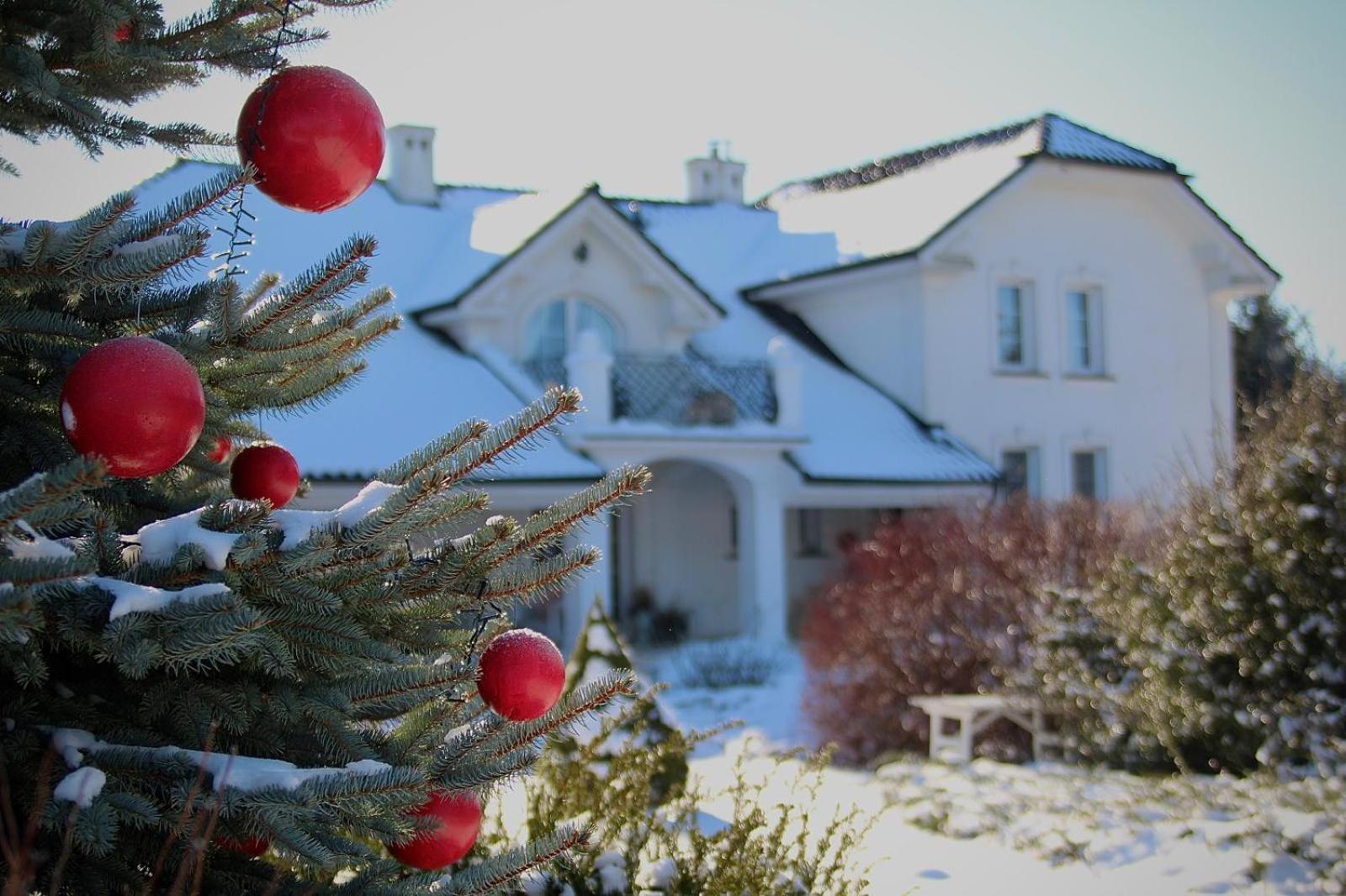Zielone Zacisze Bed and Breakfast Murzynowo Kościelne Exteriör bild