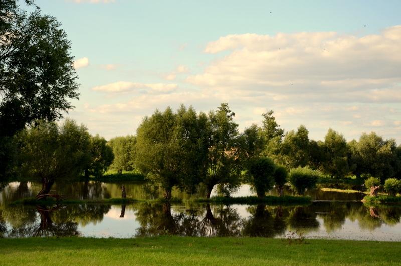 Zielone Zacisze Bed and Breakfast Murzynowo Kościelne Exteriör bild